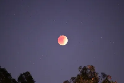 DSC_0910 (Large).JPG